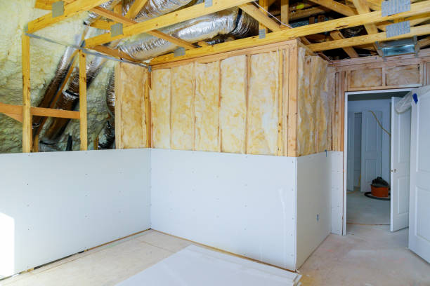 Best Basement Insulation  in Zwolle, LA